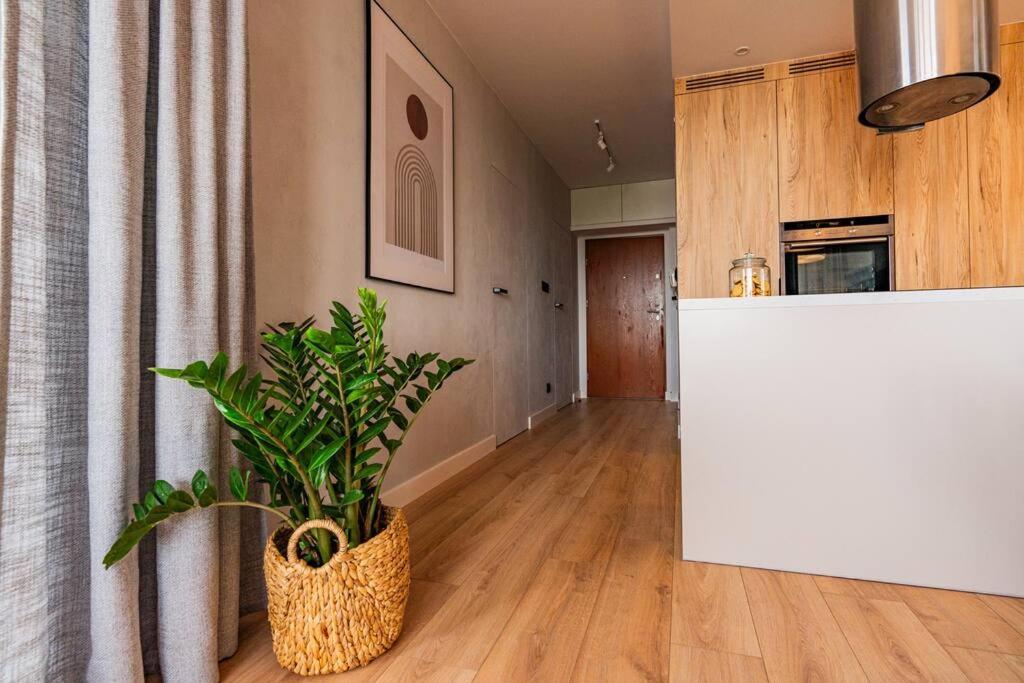 Apartament Na Grabiszynskiej Вроцлав Екстериор снимка